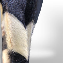 Load image into Gallery viewer, Rare Seal Skin Chevron Coat with Mink Collar Black and White Piano Virtuoso Master Furrier Design