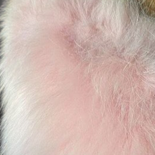 Load image into Gallery viewer, 60s Pink Leather and Fox Fur Coat “Throw and Go” Swing